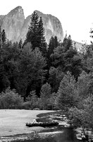 Swinging Bridge Yosemite