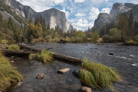 Mercer River Yosemite
